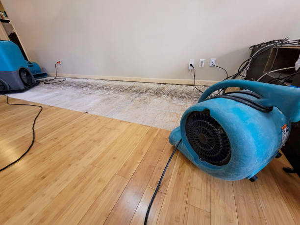 Professional Structural Drying technician working in Oakham, MA